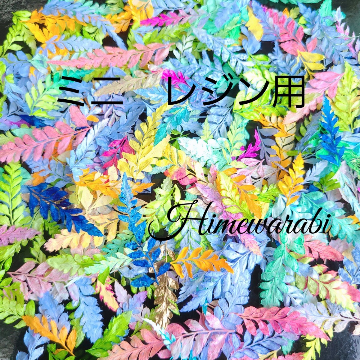 オリジナル加工 プリザーブドフラワー 花材 ヒメワラビ レースリーフ