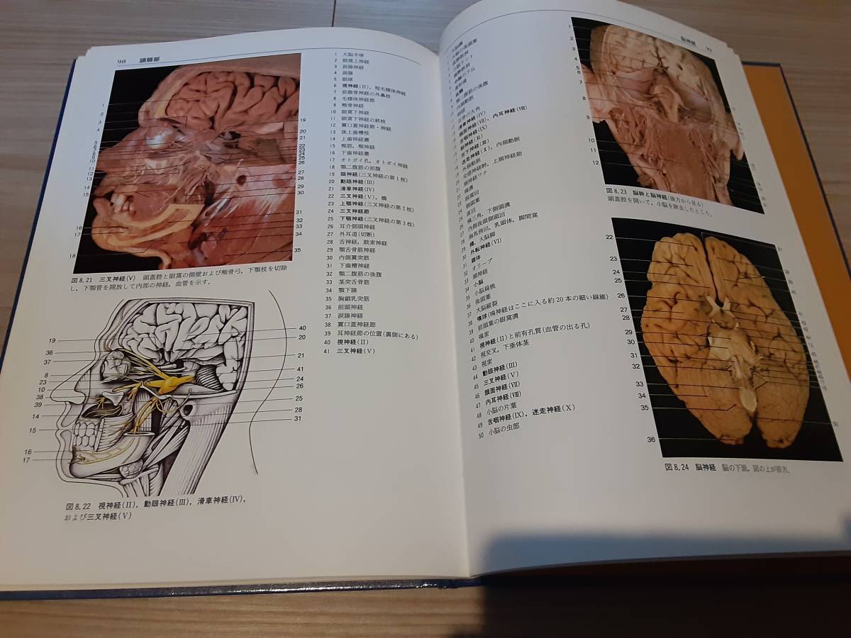 宅配便配送 人体解剖カラーアトラス elpidajob.gr