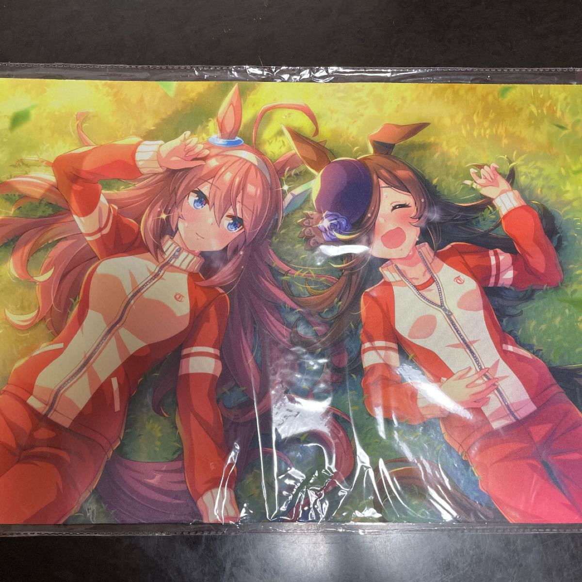 α1 ウマ娘 チャイナ服 ライスシャワー&ミホノブルボン スリーブ&プレイマット α1 ウマ娘 チャイナ服 ミホノブルボン&ライスシャワー スリーブ