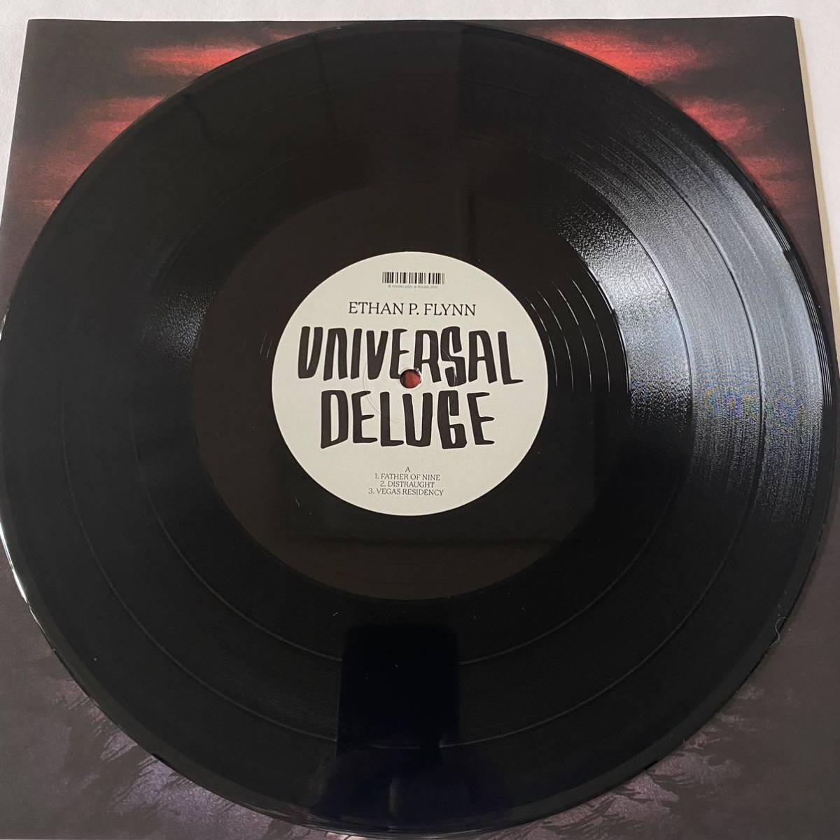 Ethan P. Flynn / Universal Deluge [LP] 国内流通200枚限定 シュリンク付き美品 King Krule Yellow Days _画像4