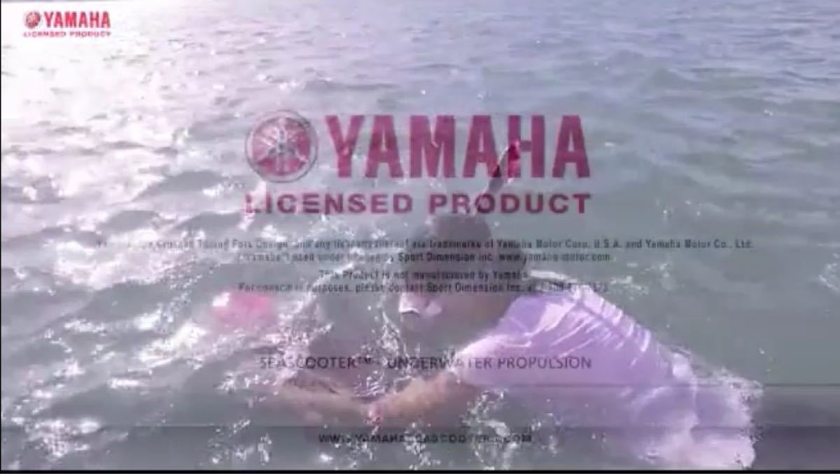 YAMAHA RDS200 シースクーター ビーチダイビング マリンスポーツ