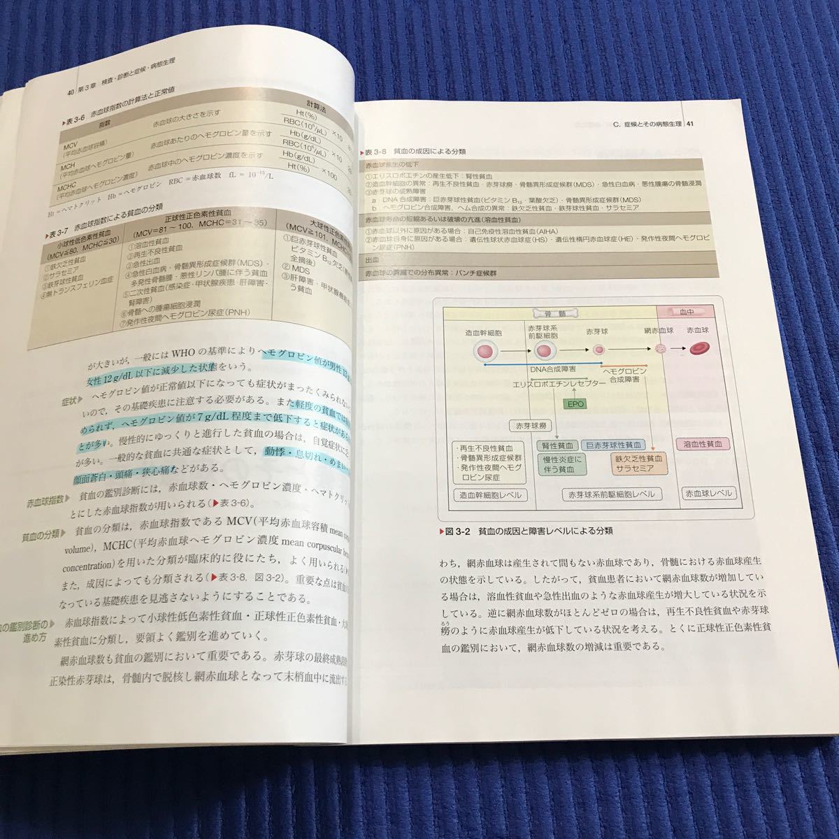 血液造血器 第１４版 成人看護学 ４ 系統看護学講座 専門分野II／医学書院本