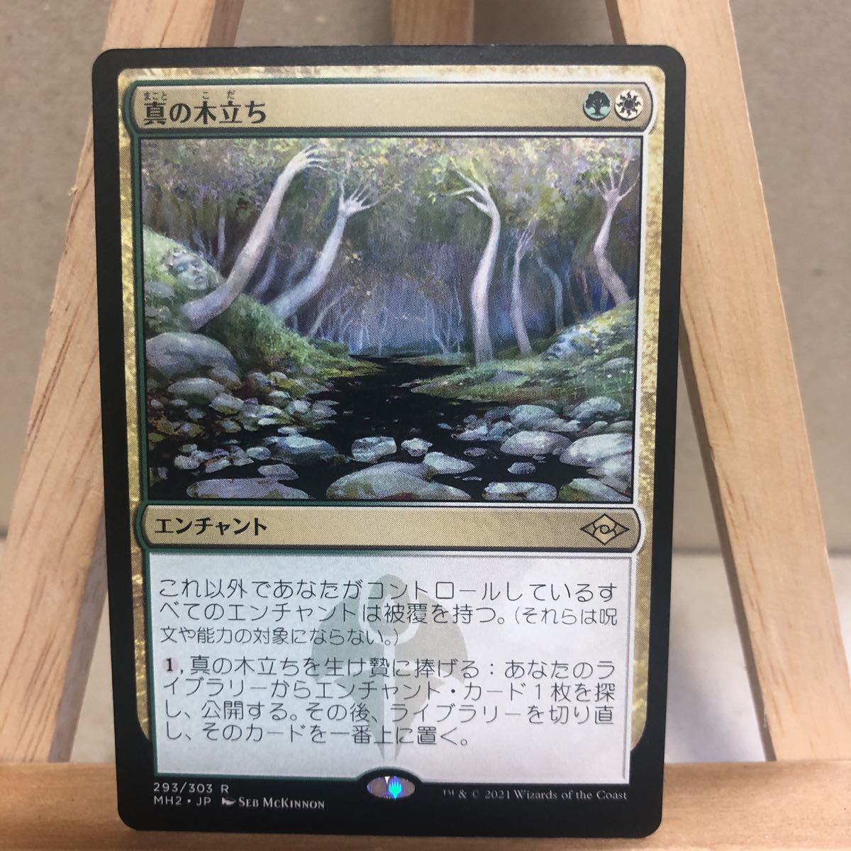 MTG 《真の木立ち/Sterling Grove》[MH2 293/303] 金 モダンホライゾン2 マジック・ザ・ギャザリング 統率者 モダン レガシー エンチャント_画像1