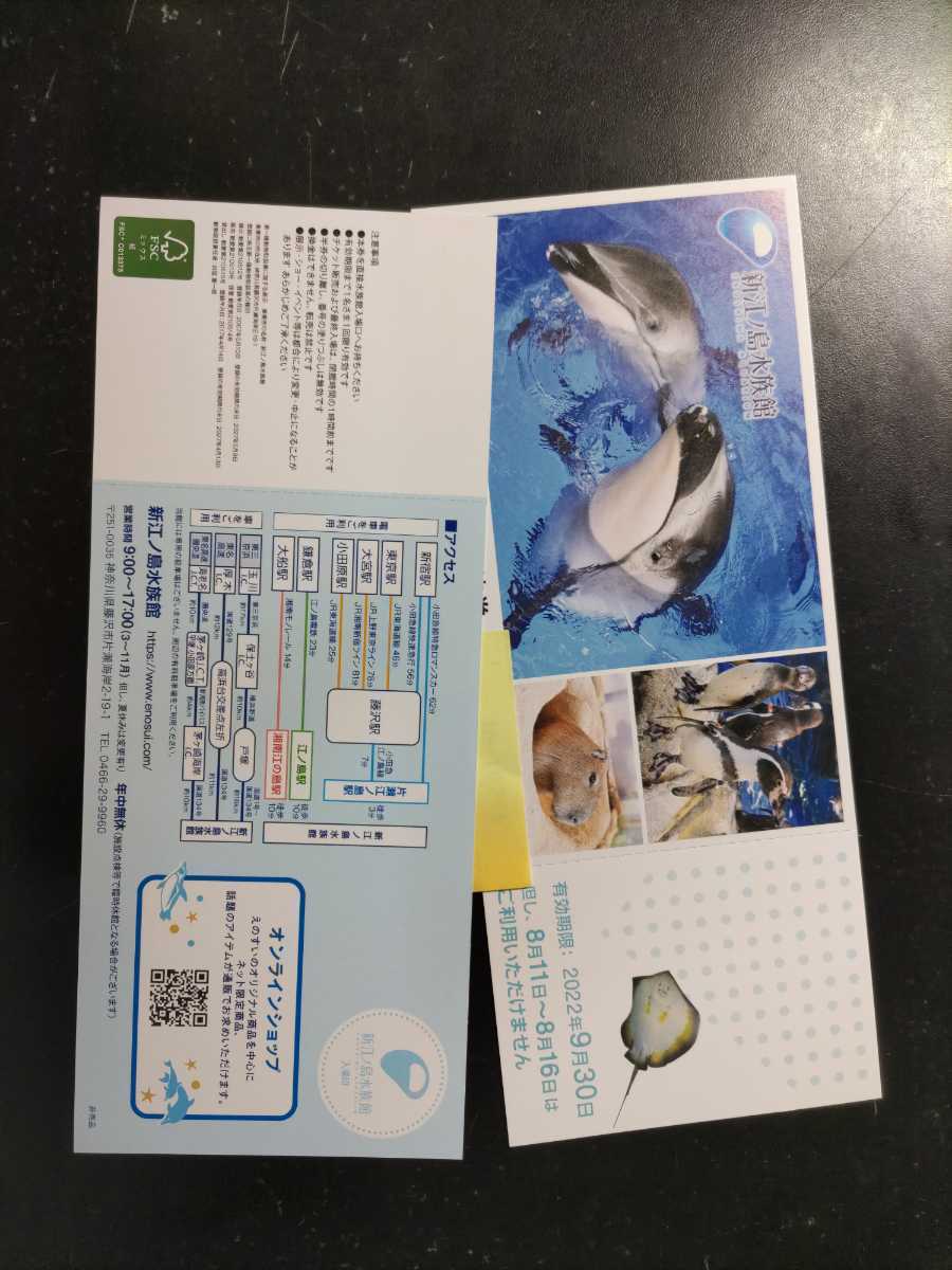 新江ノ島水族館ご招待券2枚セット 有効期限9 30迄 売れ筋ランキングも