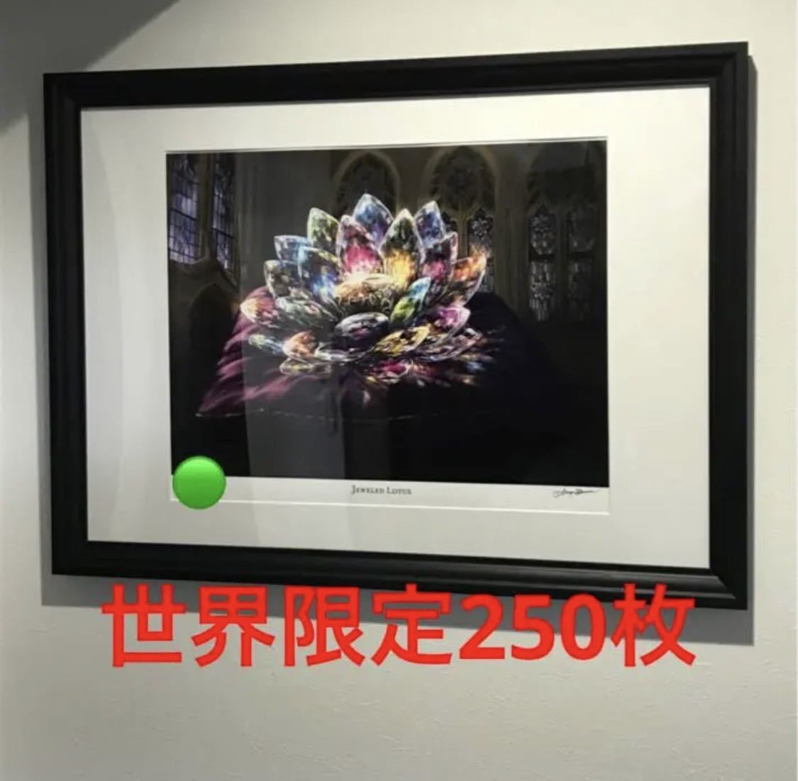 ファッション通販】 限定250枚 宝石の睡蓮 額装済み mtg 統率者