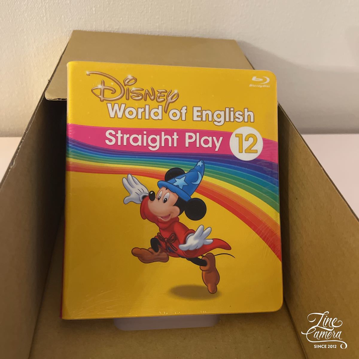 ディズニー英語システム（2020年購入）シング・アロング、ストレート