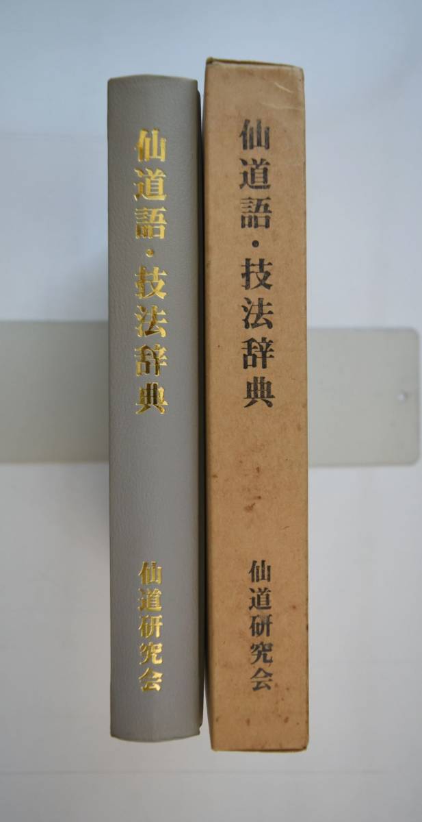 648069「仙道語・技法辞典」畑中善一 仙道研究会 平成4年 経穴 ツボ