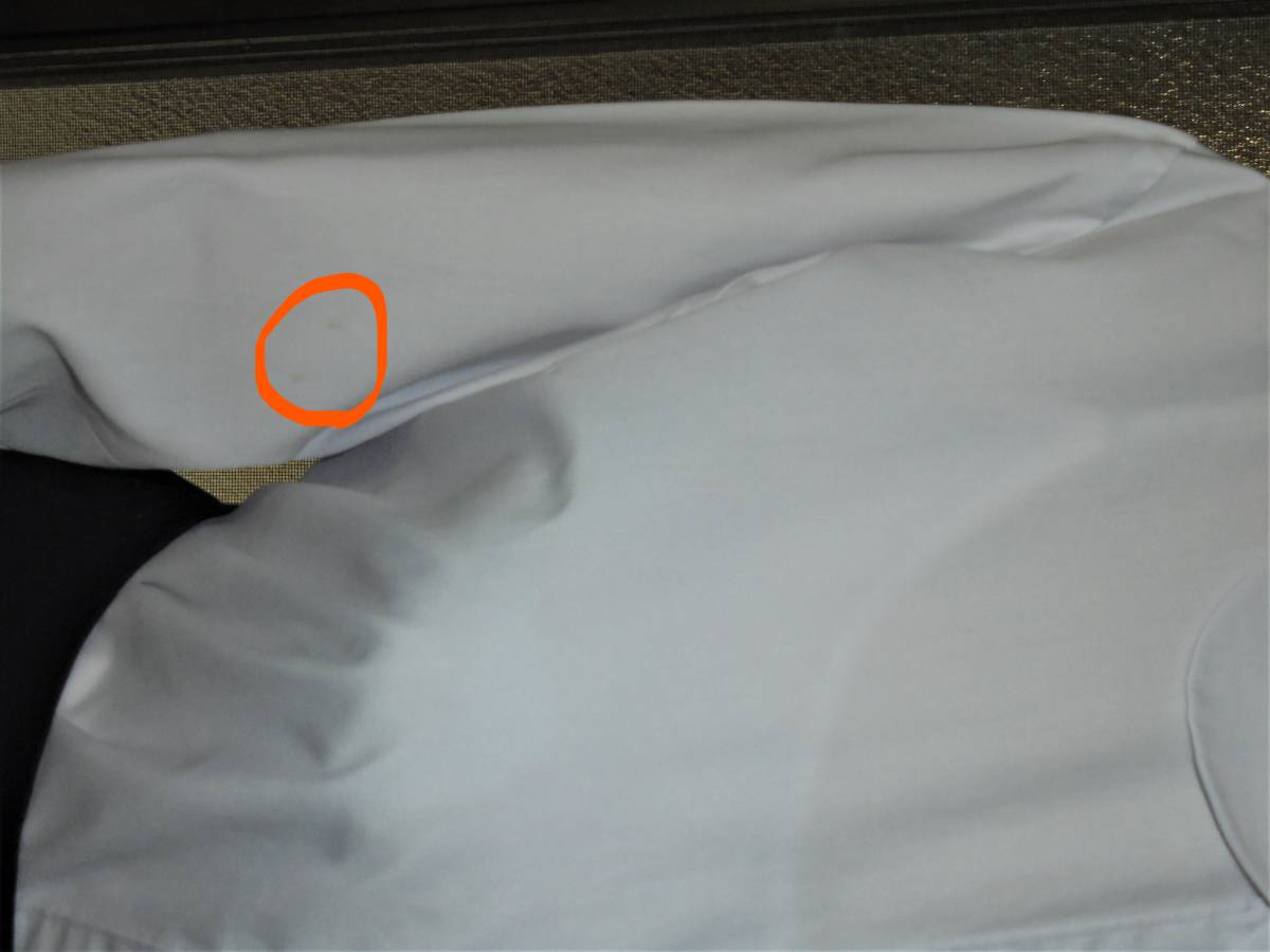 LLサイズ　女子制服　白　長袖　丸襟　ブラウス　合唱 コーラス　事務員さん 店員さん　コスプレ ハロウィン_薄っすら点状のシミが２つあります。