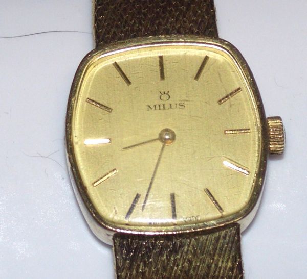 MILUS(mi squirrel ) Lady's wristwatch hand winding 805572BL155E31