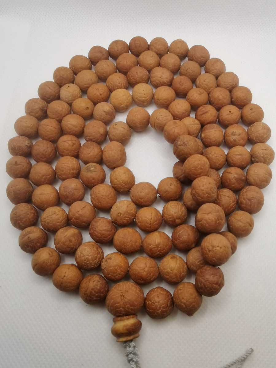 チープ 天竺菩提樹 本連用 108珠 ハンドメイド | colegioalessandri.cl