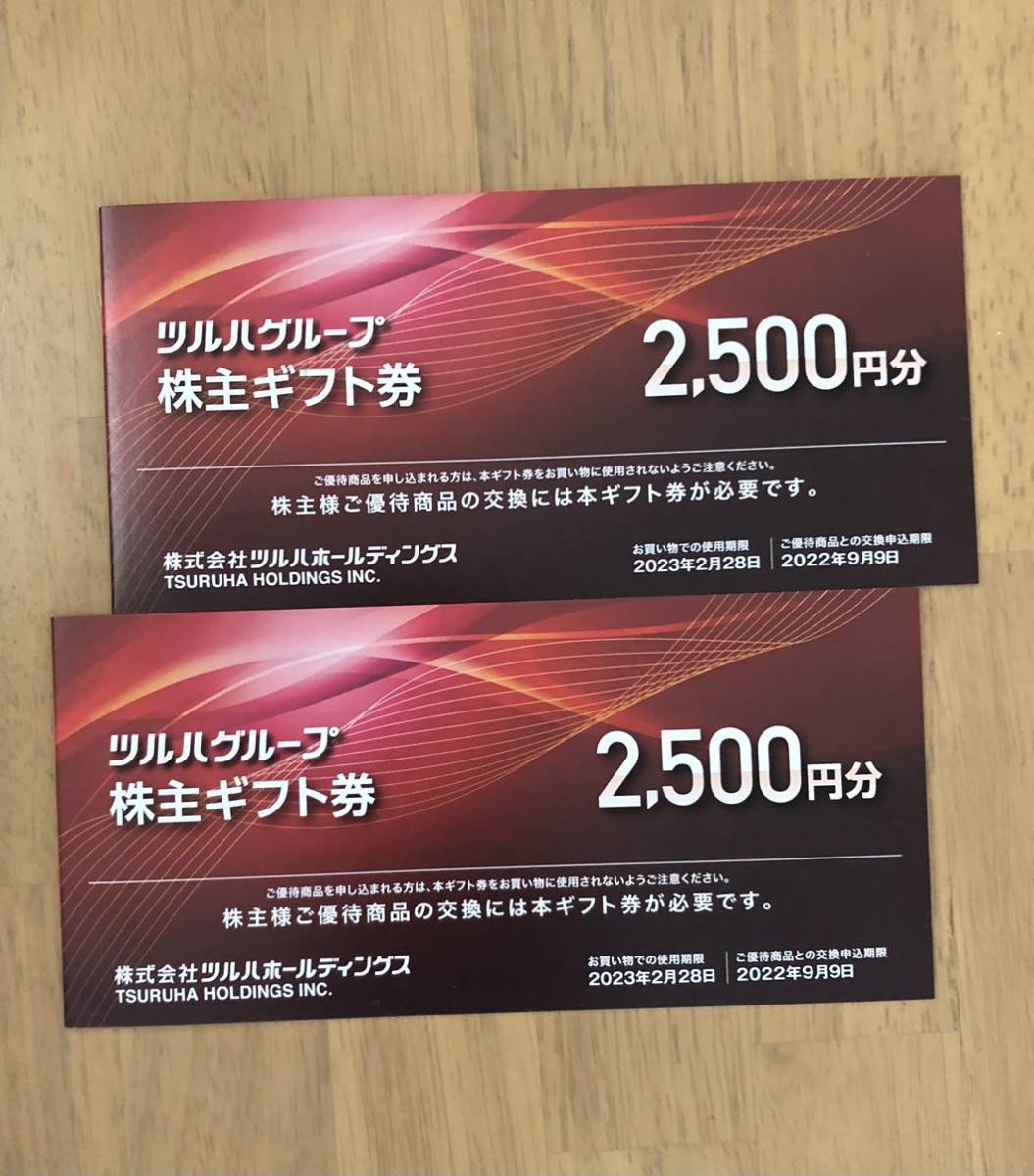 送料無料★最新ツルハホールディングス株主優待合計5000円分23年2月28日_画像1