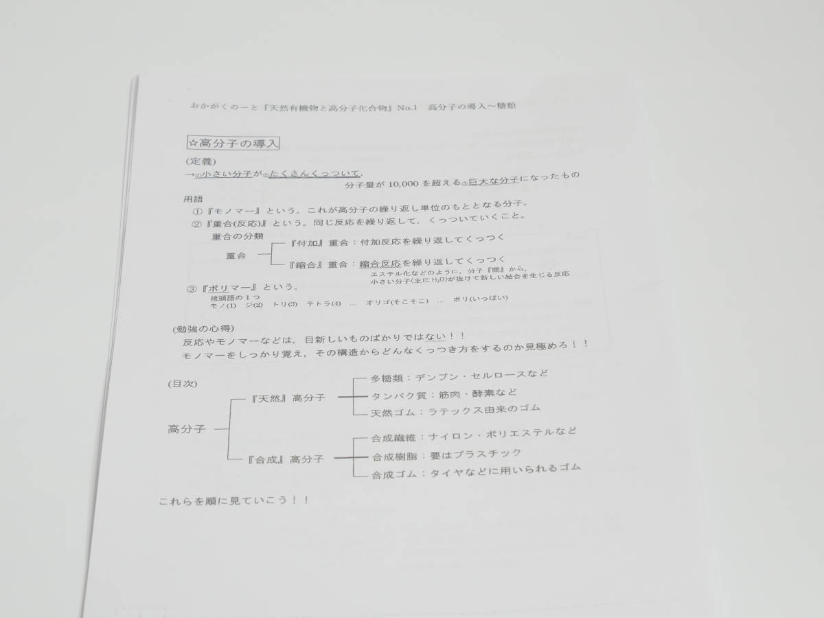 駿台　19年　岡哲大　おかがくのーと　天然有機物と高分子化合物 　河合塾　駿台　京大　共通テスト　Z会　東進　SEG_画像2