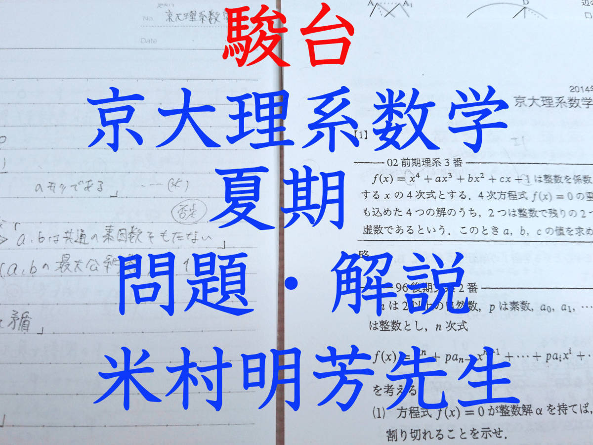 駿台 数学 テキスト 東大理系数学研究 米村先生 板書 付属-