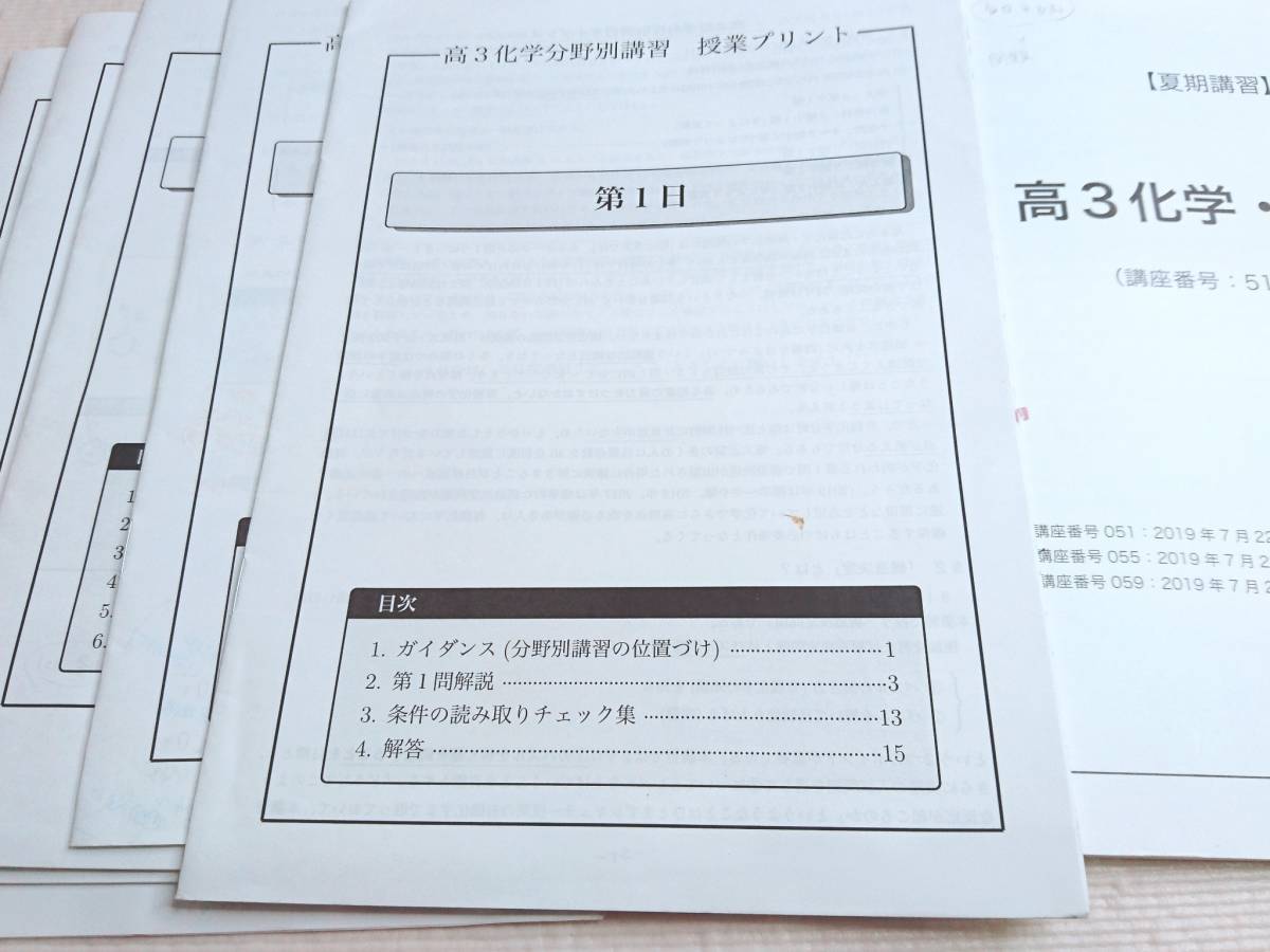 鉄緑会 ２１年度対応 19年実施 夏期 高３化学分野別 テキスト・冊子