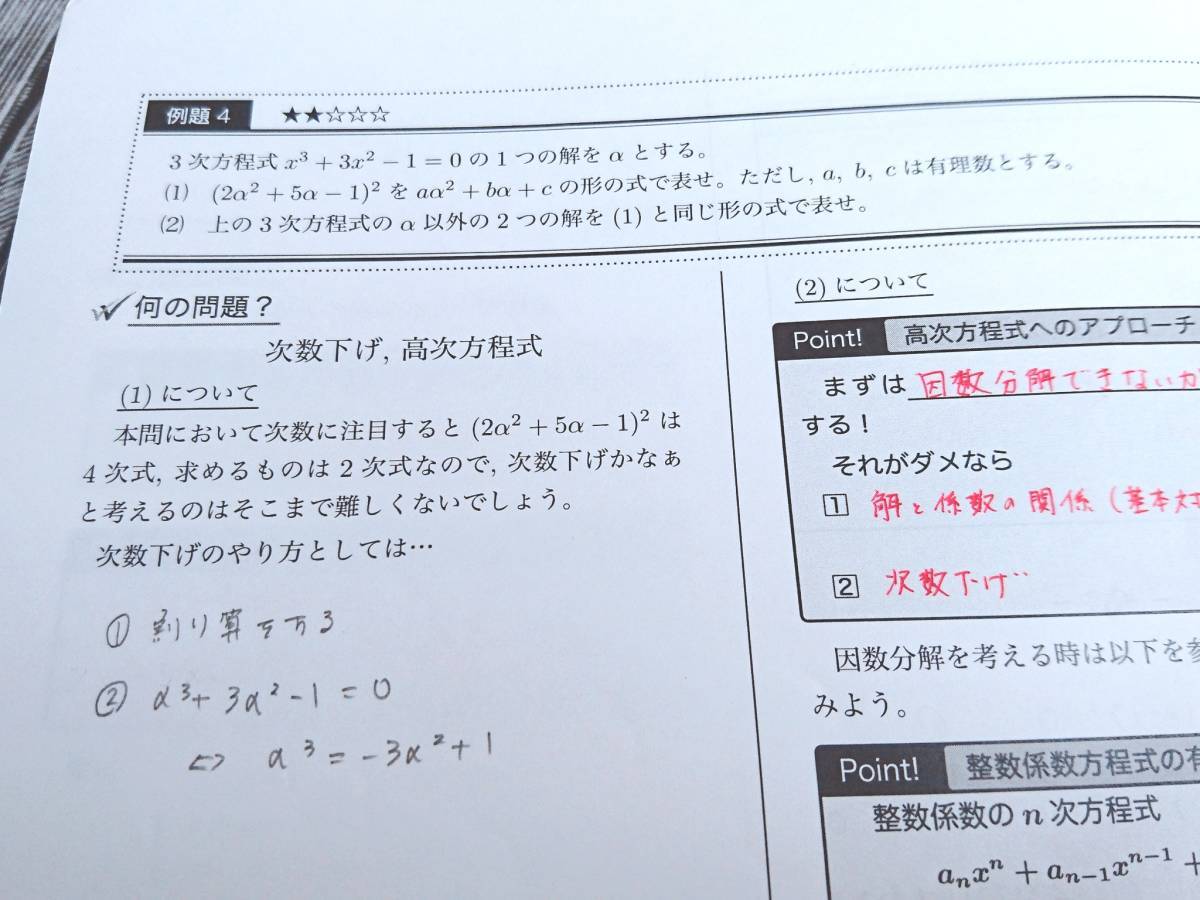 21年度対応最新 鉄緑会 19年度実施 高2数学実戦講座Ⅰ/Ⅱ 講義冊子