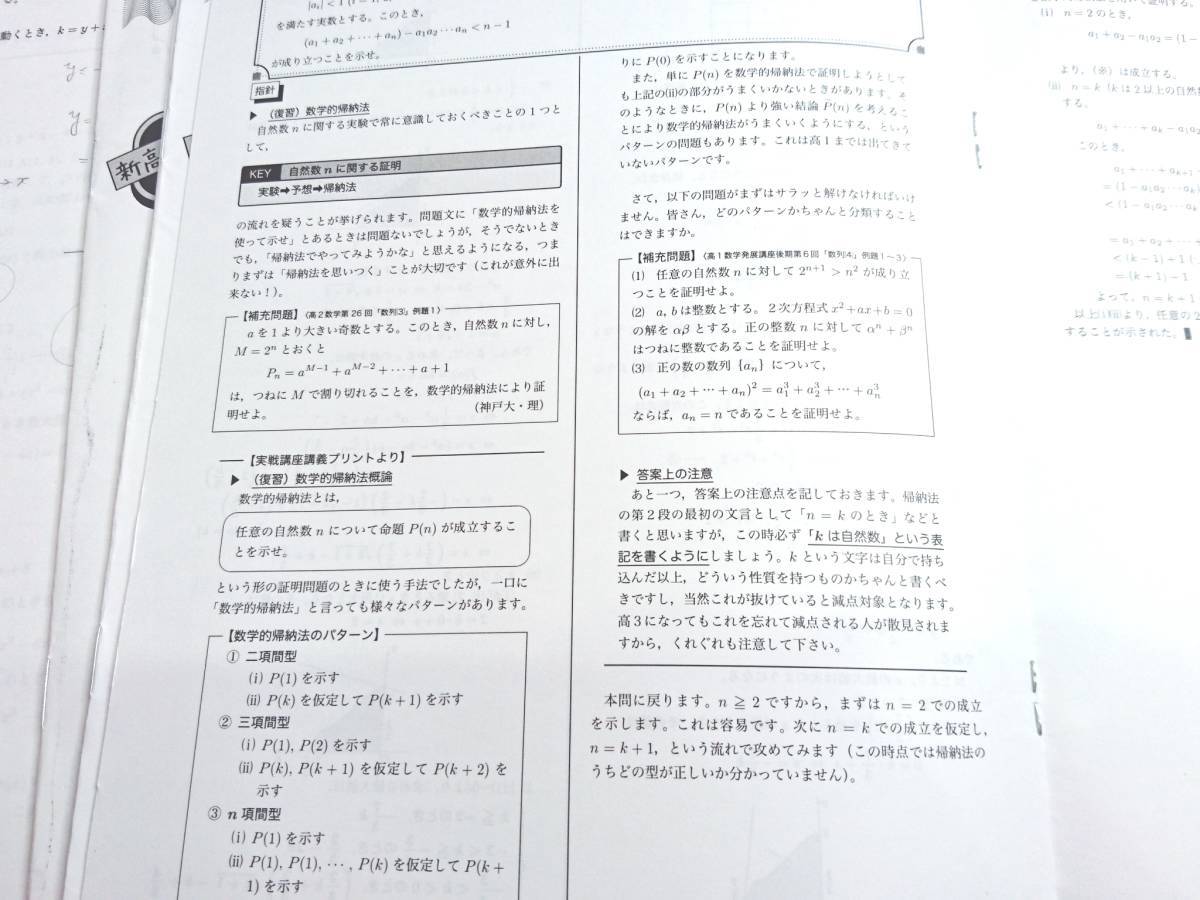 鉄緑会　李先生　新高3数学春期内部B　テキスト・冊子・プリントフルセット　数学ⅠAⅡB　駿台　河合塾 SEG