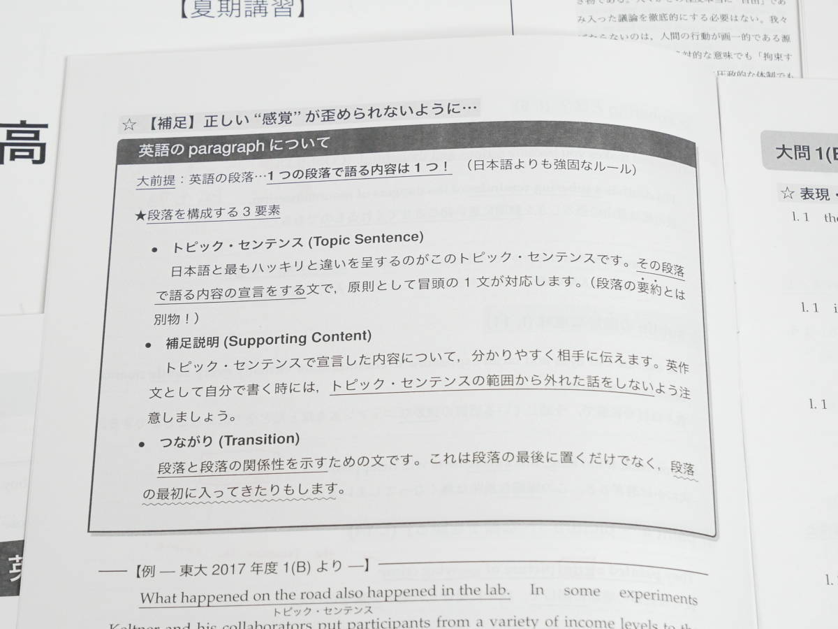 鉄緑会　19年度　高3英語・総合演習　講師解説冊子・配布解説　駿台　河合塾　東進　SEG　Z会