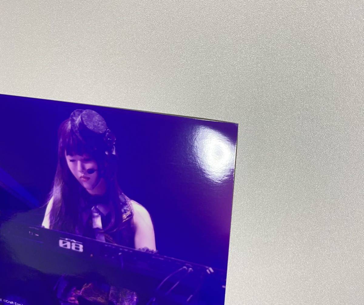 Roselia 志崎樺音 Roselia 2017-2018 LIVE BEST -Soweit- Blu-ray タワーレコード 特典 2L ブロマイド BanG Dream! バンドリ ガルパ 声優_画像9