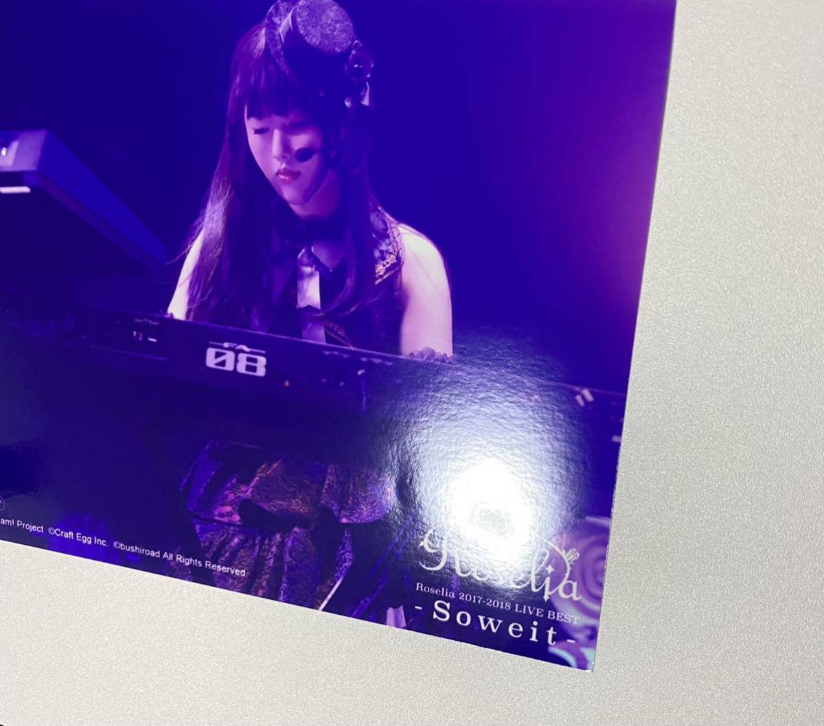 Roselia 志崎樺音 Roselia 2017-2018 LIVE BEST -Soweit- Blu-ray タワーレコード 特典 2L ブロマイド BanG Dream! バンドリ ガルパ 声優_画像2