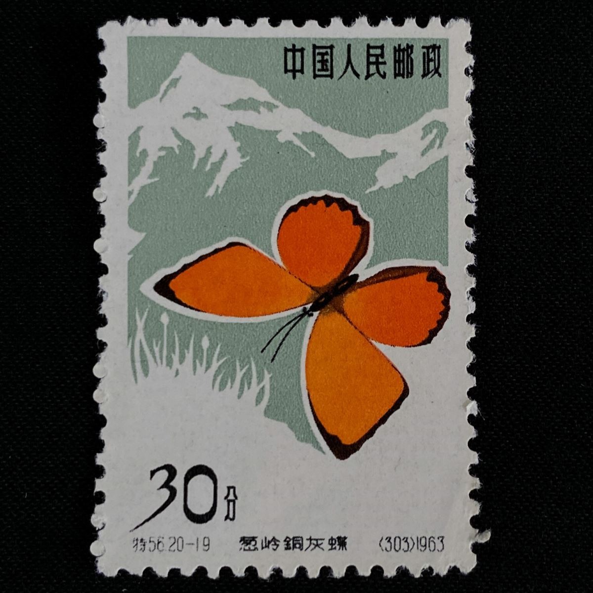 【未使用 中国切手】1963年 特56 蝶シリーズ 20種完 消印無し ヒンジ痕無し 裏面糊なし 未貼り付け コレクター品 中国人民郵政 M505
