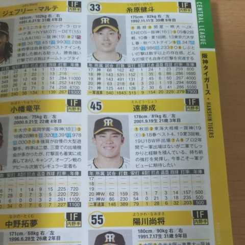 プロ野球選手名鑑 選手名鑑 12球団 コスミック出版社　コレクション　本　2022年　2020年　2冊セット　三冠王　村上宗隆　ヤクルト　優勝_画像10