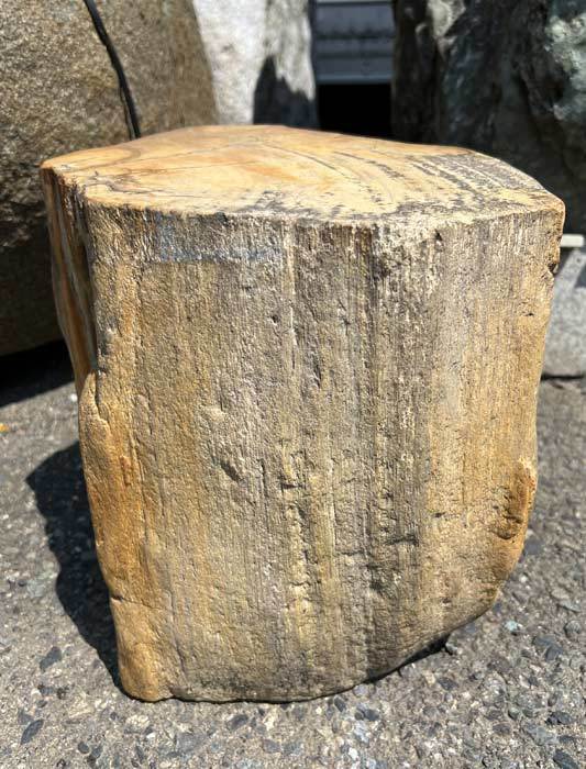 木化石 イス ni137 珪化木 庭石 景石 ベンチ 天然石 ぼっかせき 椅子 置台 - 3