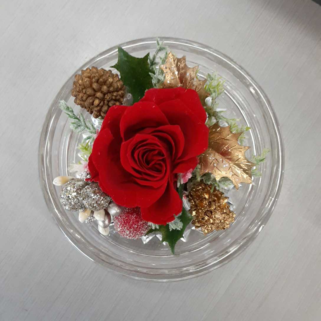  смешанные товары 5] консервированный цветок стекло купол цветок роза роза красный / красный Mini предметы интерьера украшение вход аранжировка цветов 