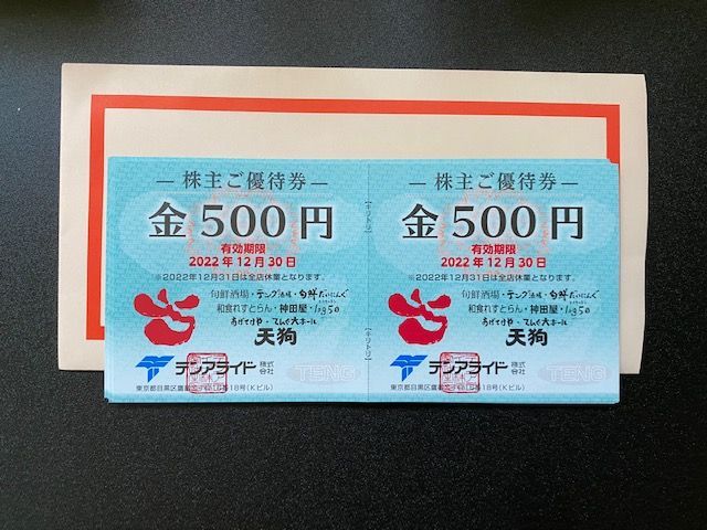 オープニング大セール】 テンアライド 株主優待券 10000円分 ienomat