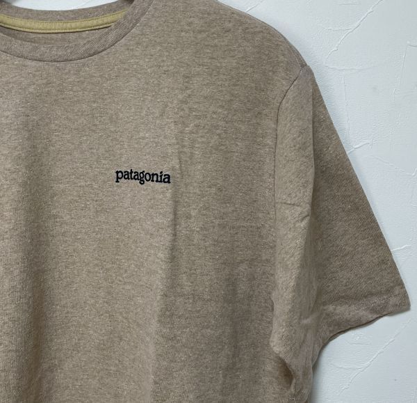 パタゴニア Tシャツ Sサイズ メンズ フィッツロイ ホライゾンズ レスポンシビリティー PATAGONIA 38501 STPE