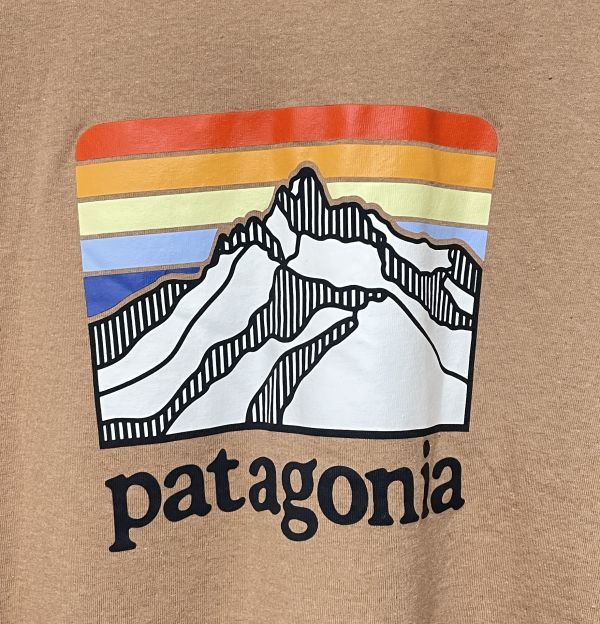 パタゴニア Tシャツ Sサイズ ラインロゴリッジポケットレスポンシビリティー PATAGONIA 38511 メンズ DKCA_画像4
