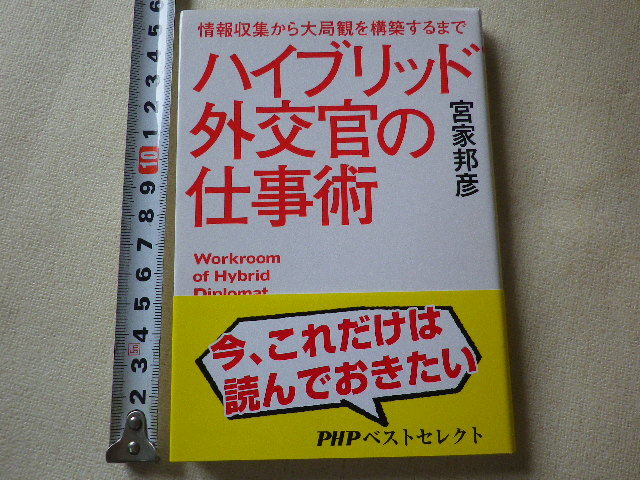 ハイブリッド外交官の仕事術　文庫本●送料185円●同梱大歓迎_画像1