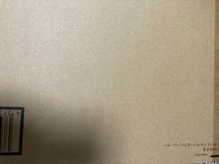 DX超合金 VF-1D バルキリー & ファン・レーサー 輸送箱付き伝票跡なし