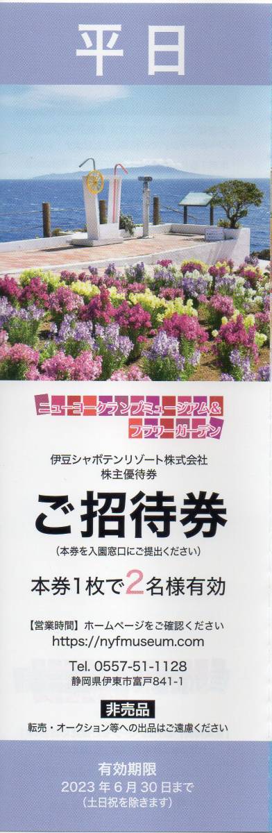 即決！ニューヨークランプミュージアム＆フラワーガーデン ご招待券 平日２名入場　複数 伊豆シャボテンリゾート株主優待券 ミニレター可_画像1