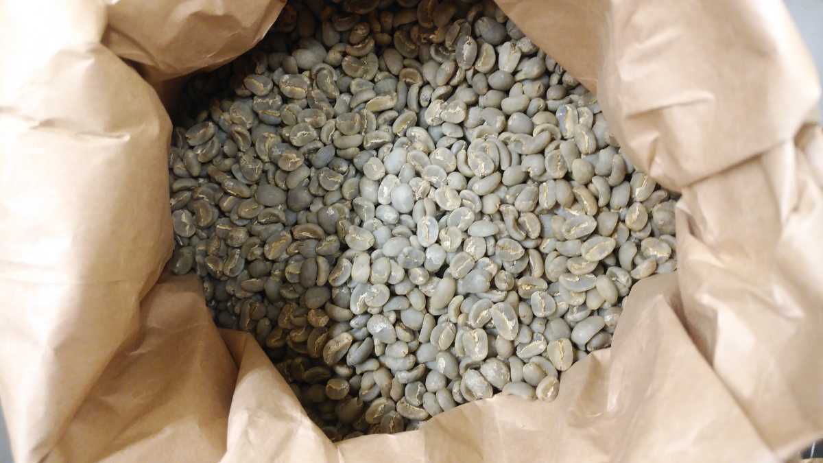 コーヒー生豆100g 4袋 ブラジル コロンビア グアテマラ タンザニア 予約販売品