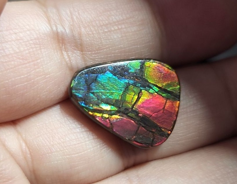 貴重レア 特大天然 アンモライト 11.938ct-