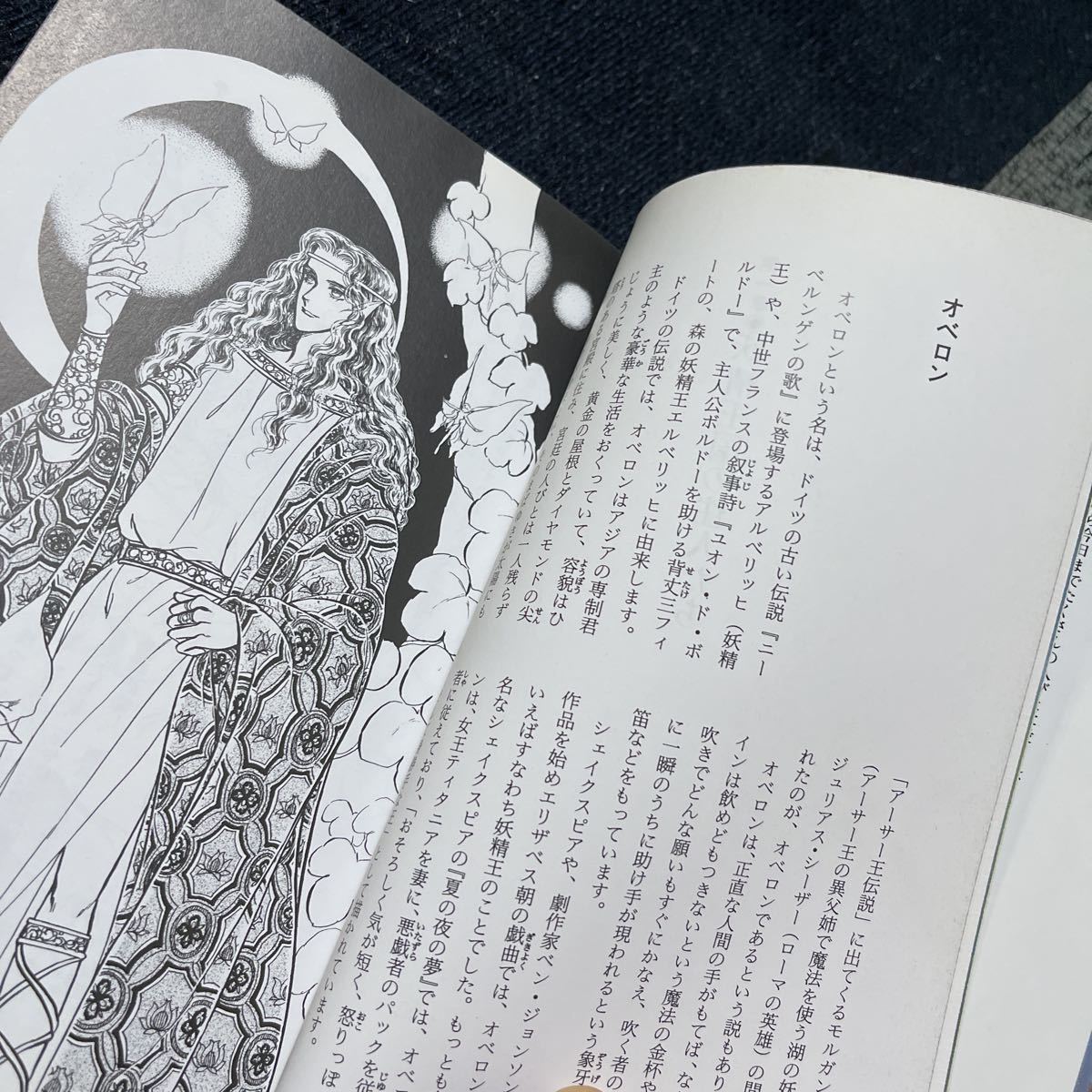 .. character lexicon Nakayama star ..... Shinshokan fantasy materials book@ table to-k game book T RPG Famicom 