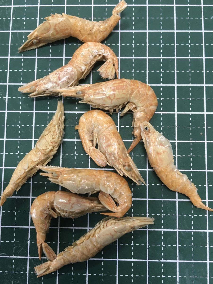 2袋 富城物産カンシャ(120g×2=240g)(乾燥エビ、クリル)肉食魚(アロワナ 淡水エイ ナマズ ピラニア)爬虫類(カメ)商品説明をお読みください_画像3