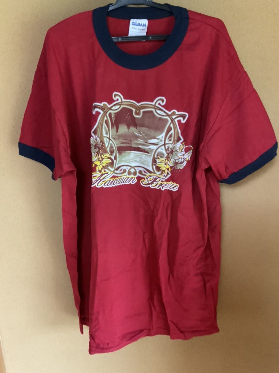 新品未使用　ハワイで購入したTシャツ　ハワイ景色柄　サイズM(日本のLくらい)_画像1