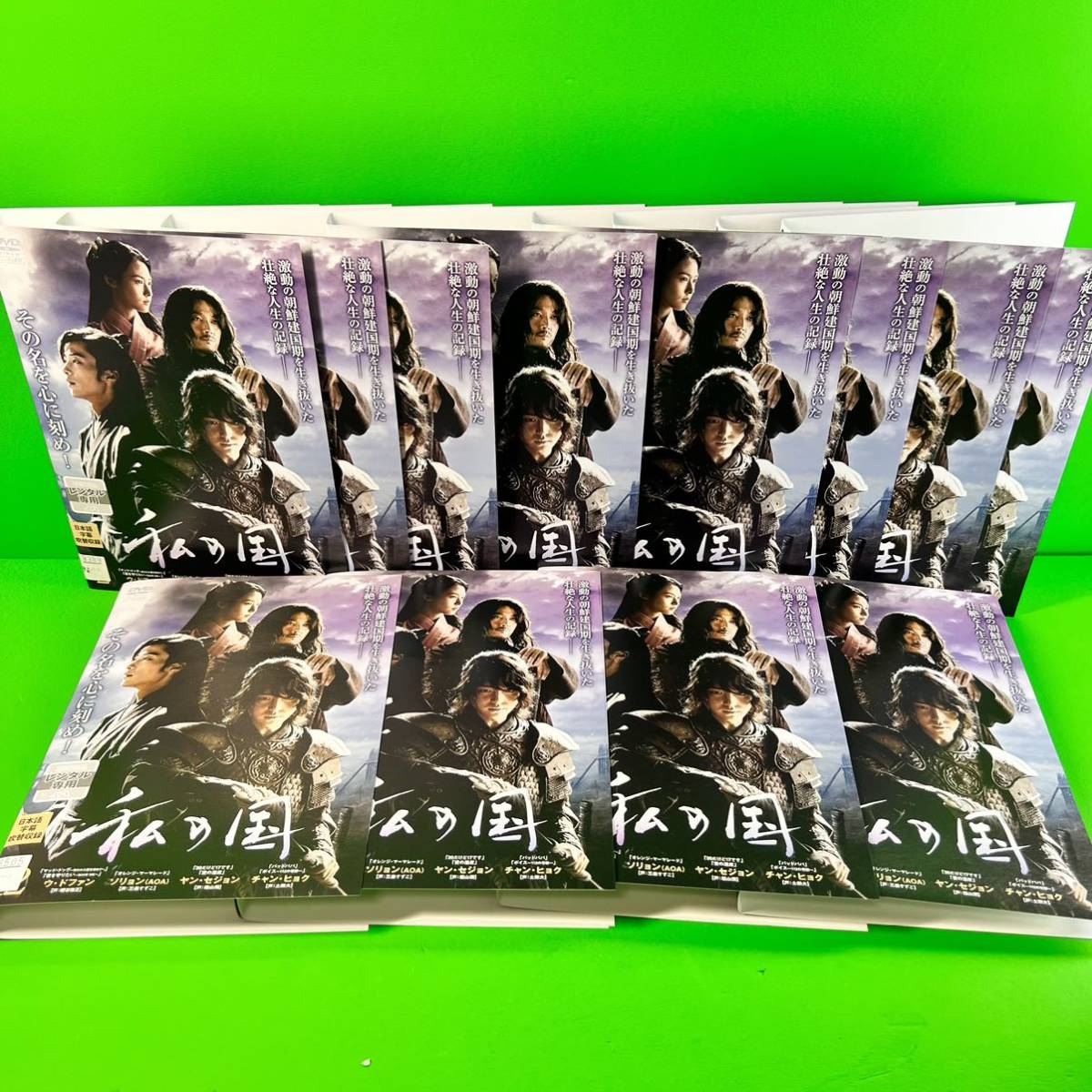 ケース付 私の国 DVD 全16巻 全巻セット ヤン・セジョン / ウ