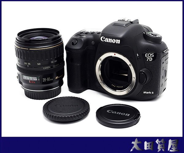 Canon EOS 7D Mark II + Canon EF 28-80㎜ | universodospeixes.com.br