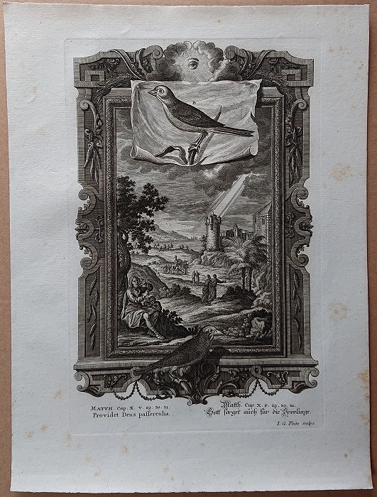 1732年 ショイヒツァー 神聖自然学 銅版画 Tab.679 新約聖書 マタイによる福音書 第10章 29節 30節 31節_画像5