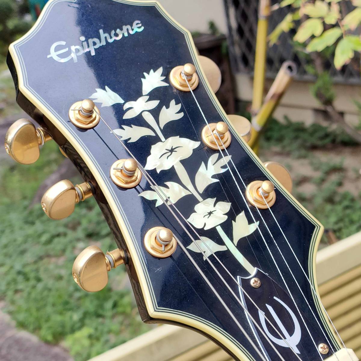 美品/Epiphone/エピフォン/セミアコギター/ギター/Sheraton II+ソフト