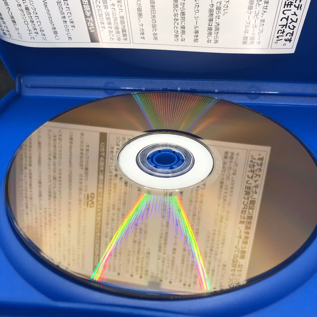 アメリカン・ビューティー DVD