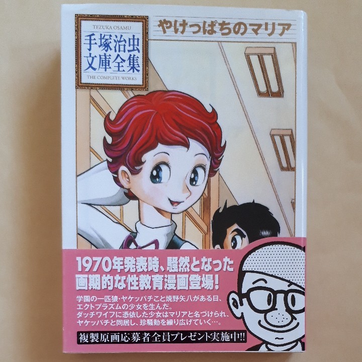 やけっぱちのマリア (手塚治虫文庫全集 BT-052) 手塚 やけっぱちのマリア (手塚治虫文庫全集 BT-052) 手塚