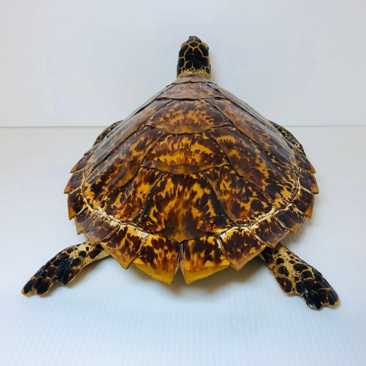 状態良好】即日発送】タイマイ 鼈甲 亀 壁掛け ウミガメ カメ 状態良好】即日発送】タイマイ 鼈甲 亀 壁掛け ウミガメ カメ