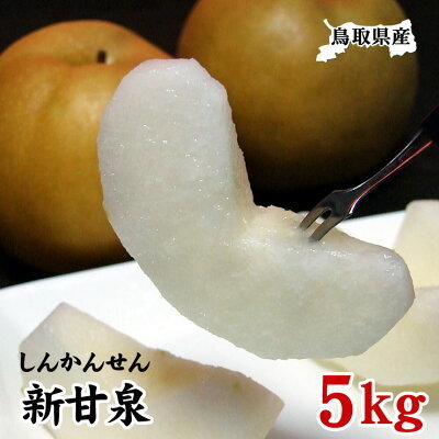 早期送料無料☆即決☆鳥取県産 新甘泉5kg箱10~18玉入なしナシ梨20世紀しんかんせん新5