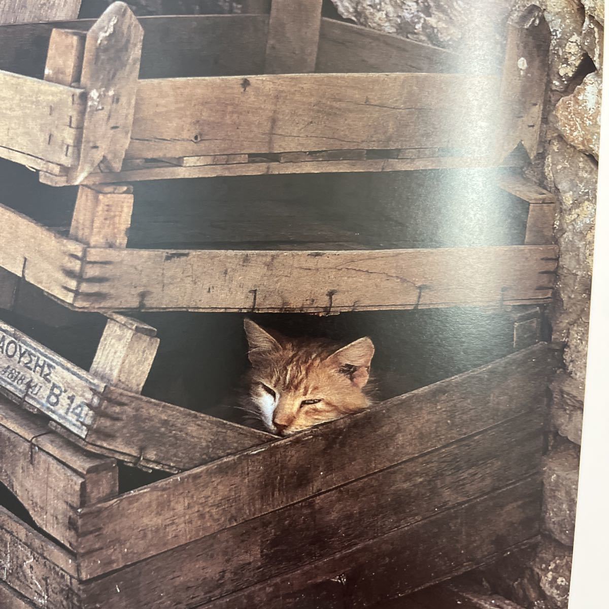 Sleeping in the Sun: Carefree Cats of the Greek Islands hard cover 1997/10/6gilisia cat photoalbum foreign book secondhand book 