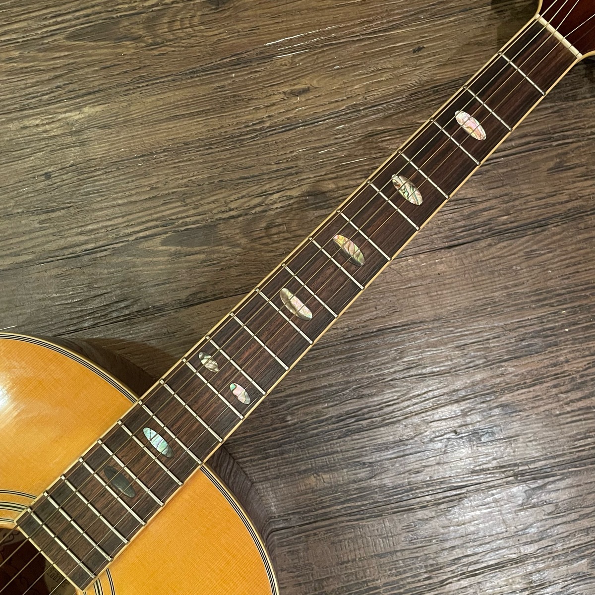 Charvel CM-450 Acoustic Guitar アコースティックギター シャービル
