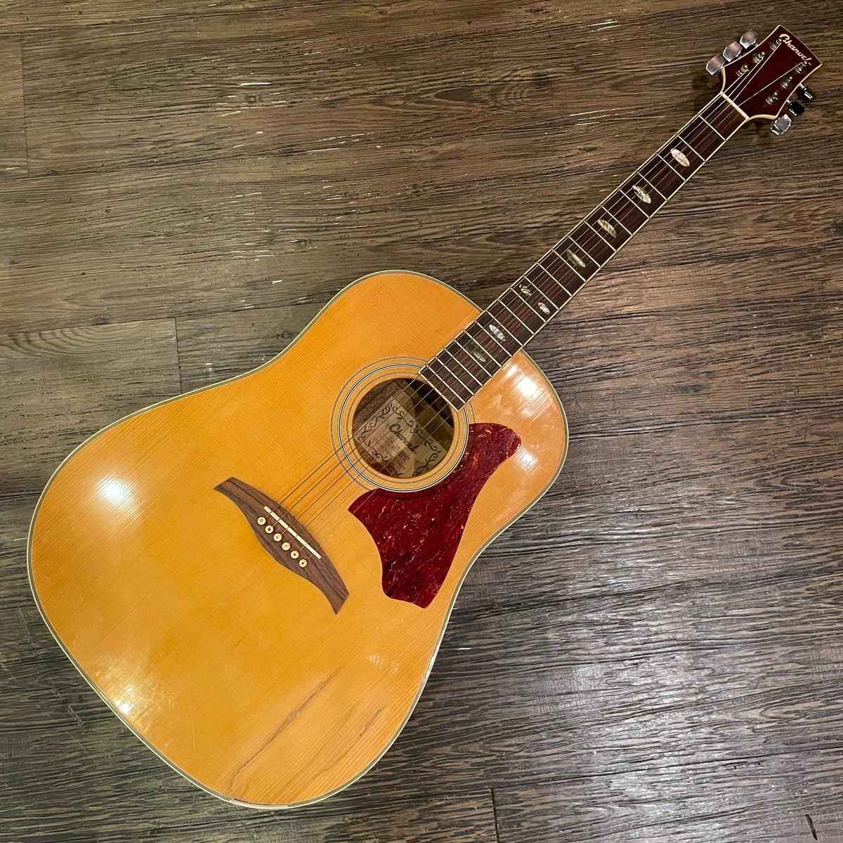 Charvel CM-450 Acoustic Guitar アコースティックギター シャービル -GrunSound-x790-