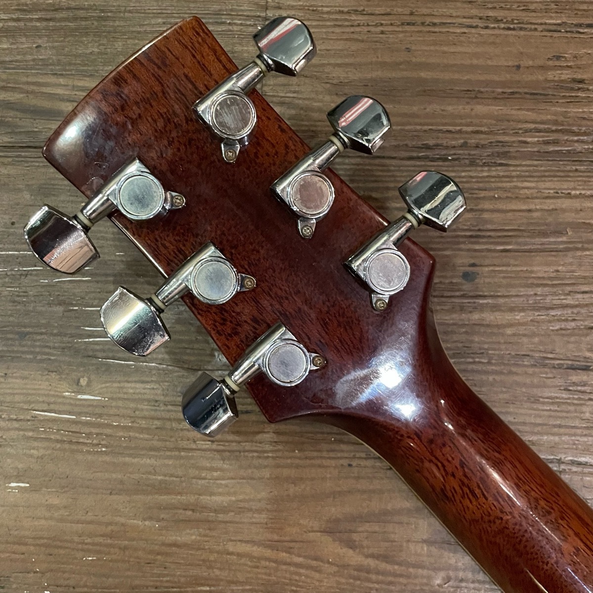 Charvel CM-450 Acoustic Guitar アコースティックギター シャービル